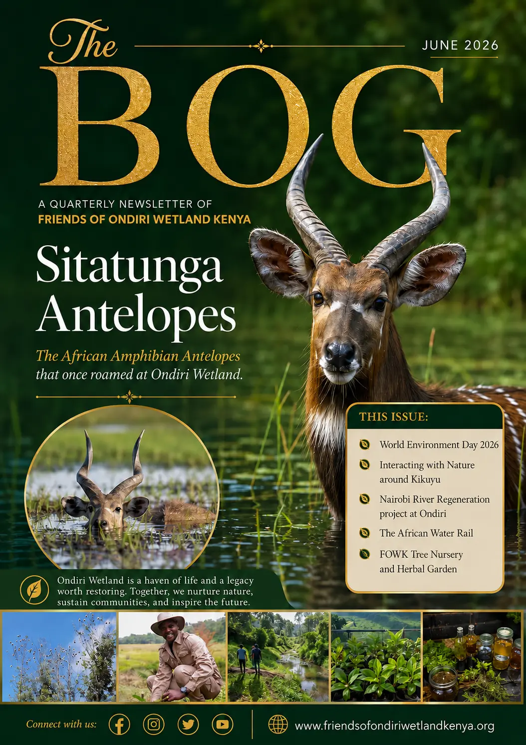 The_Bog_2026_Q2_Issue