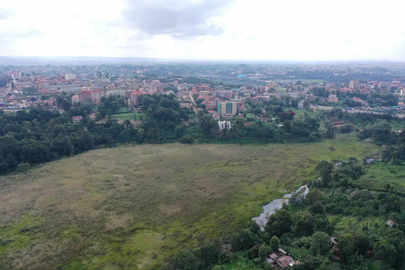 Ondiri Wetland