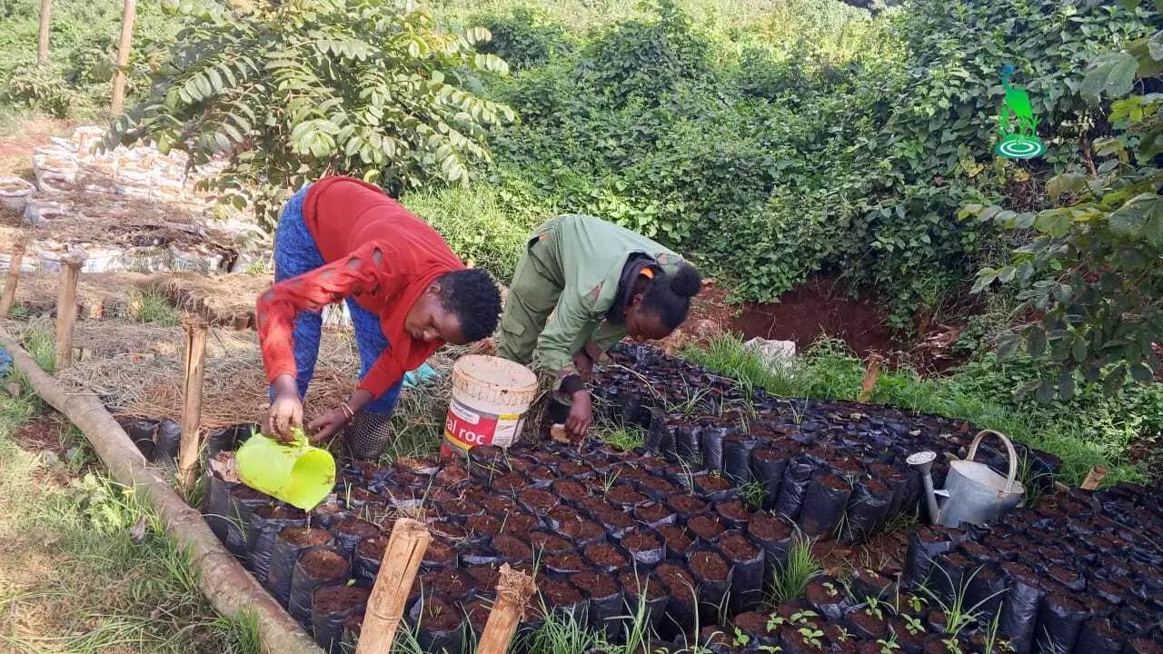 Community Empowerment