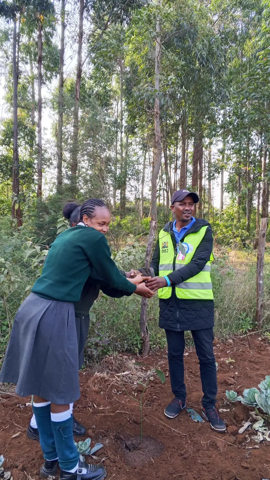 Environmental Education