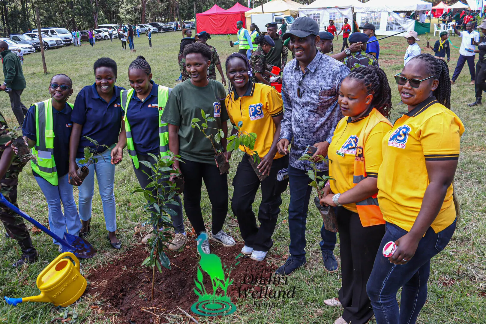 Tree planting