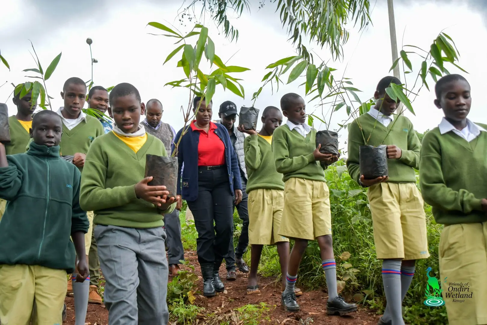 Climate Change Mitigation