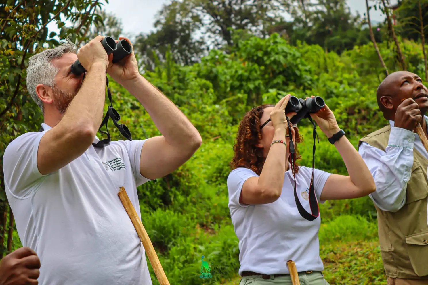 Tree planting