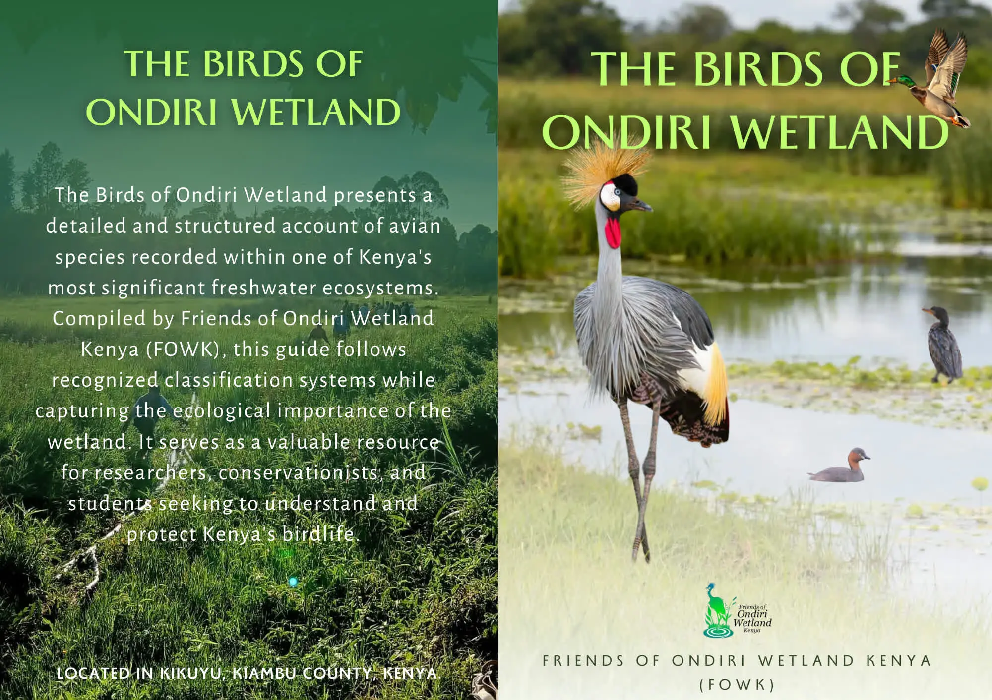 The Birds of Ondiri Wetland Cover